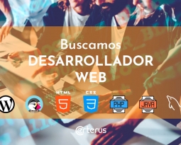 Desarrollador Web