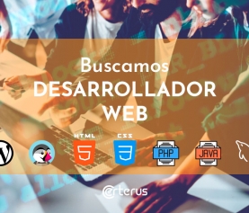 Desarrollador Web